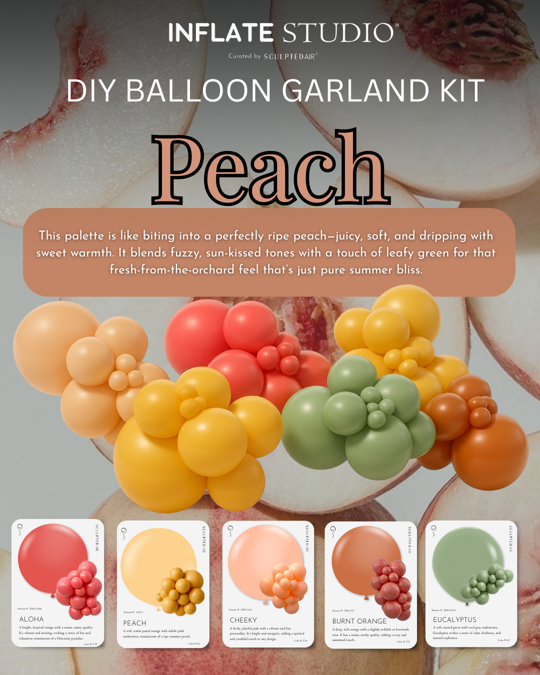 DIY KIT - The Balloon Garland - Peach
