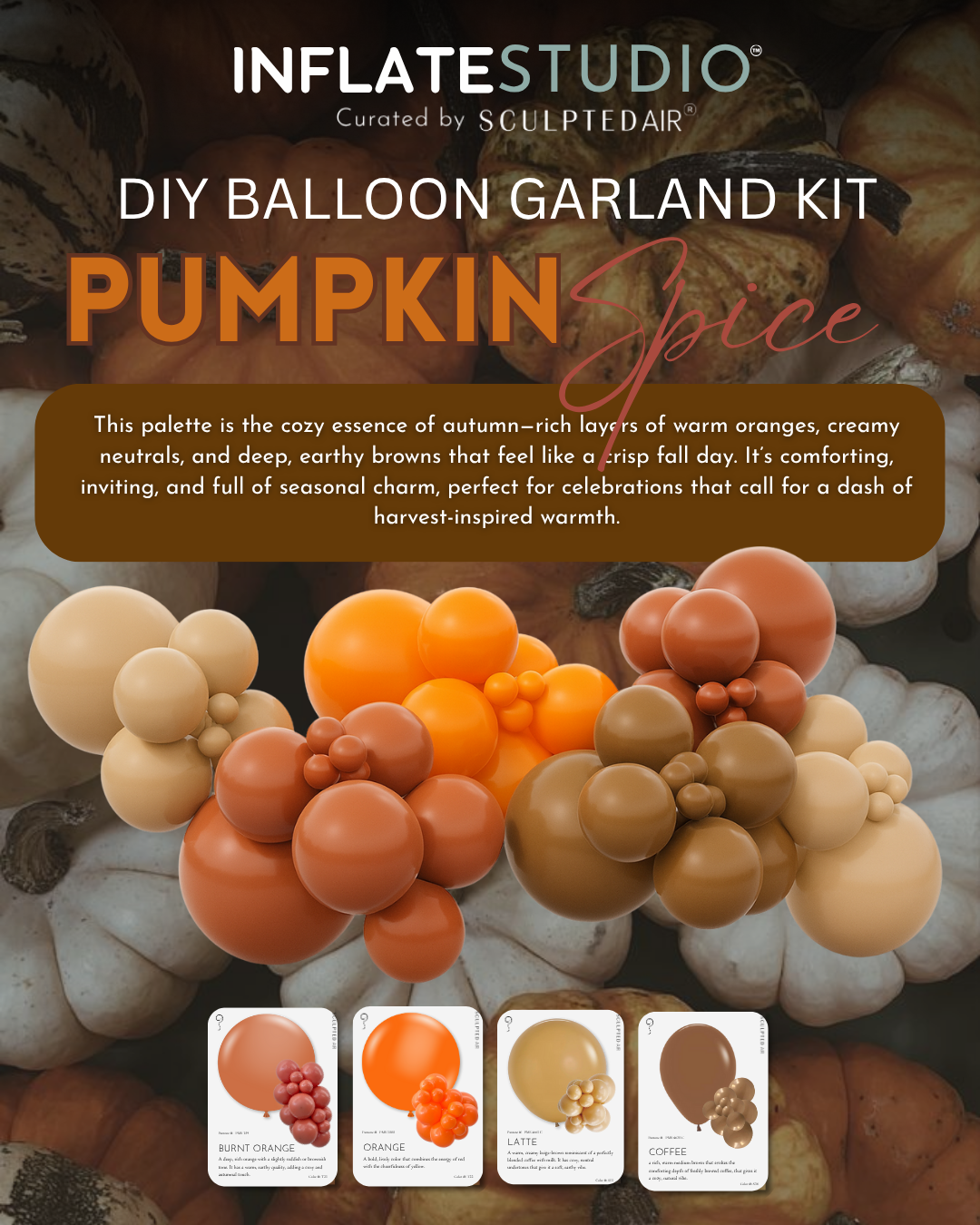 DIY KIT - The Balloon Garland - Pumpkin Spice