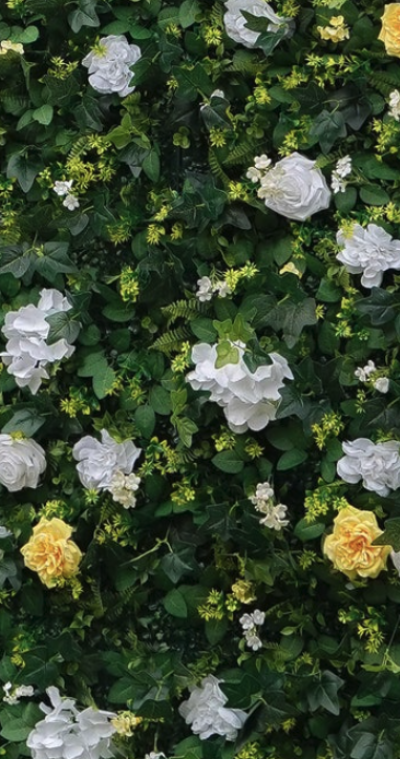 Blossom