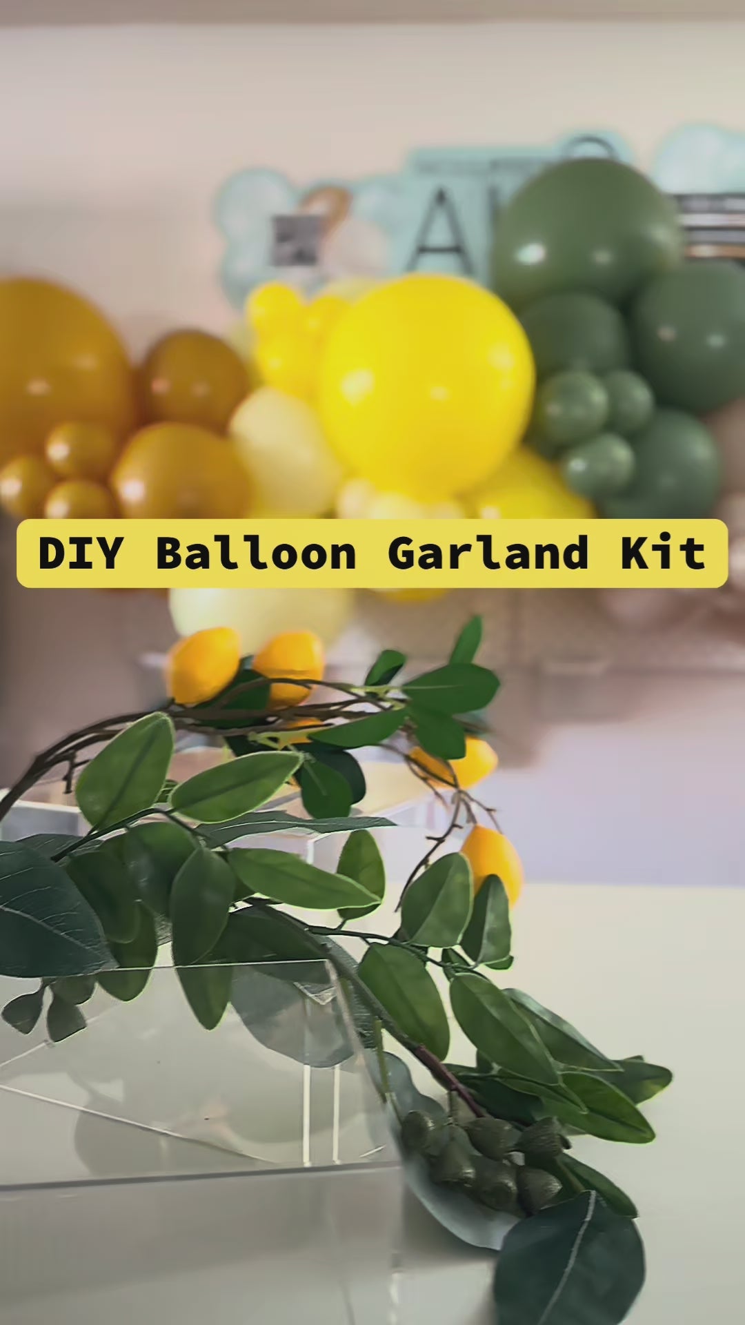 DIY Balloon Garland Kit